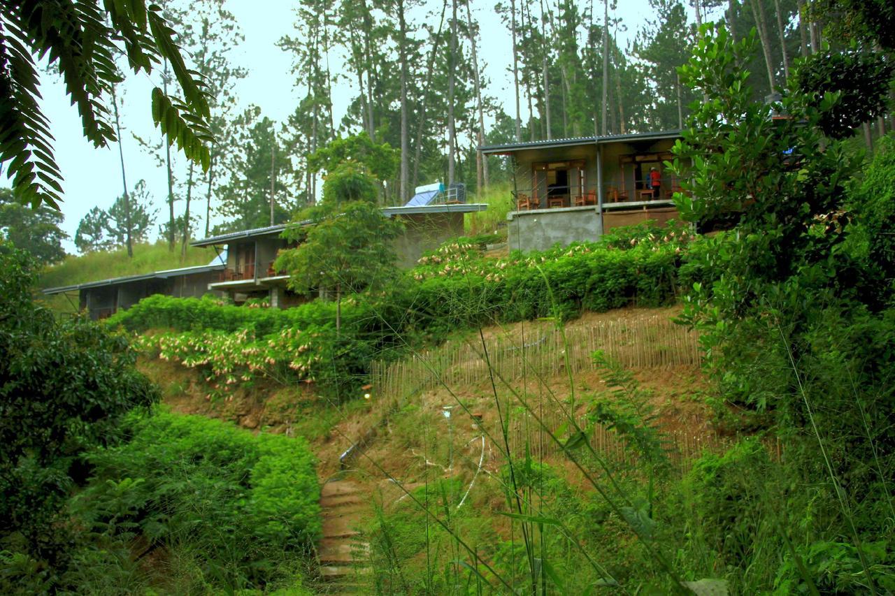 Rowinrich Cottages Ella Exteriör bild